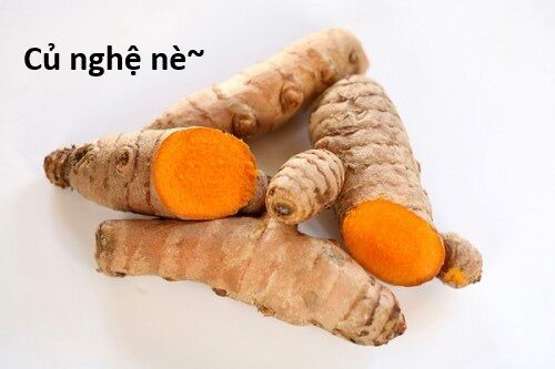 Hổ Đến Chơi Nhà (Puchimasu Miếu) Chap 136 - Next Chap 137