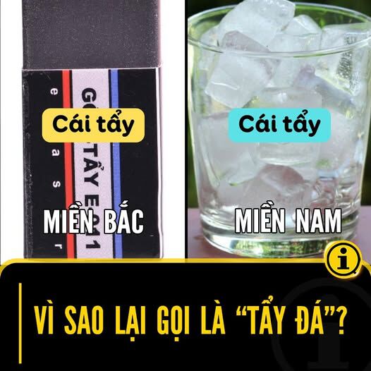 Hổ Đến Chơi Nhà (Puchimasu Miếu) Chap 137 - Next Chap 138