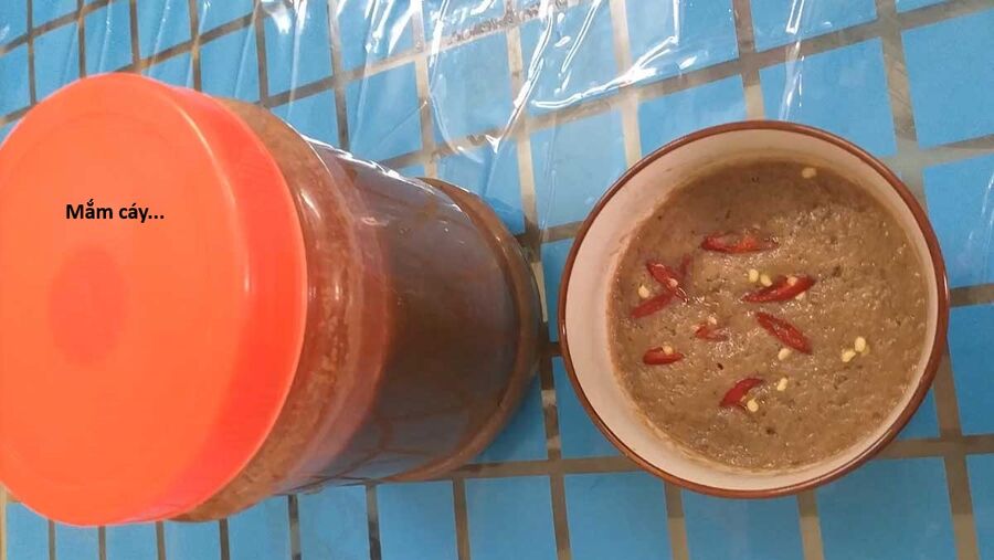 Hổ Đến Chơi Nhà (Puchimasu Miếu) Chap 138 - Next Chap 139