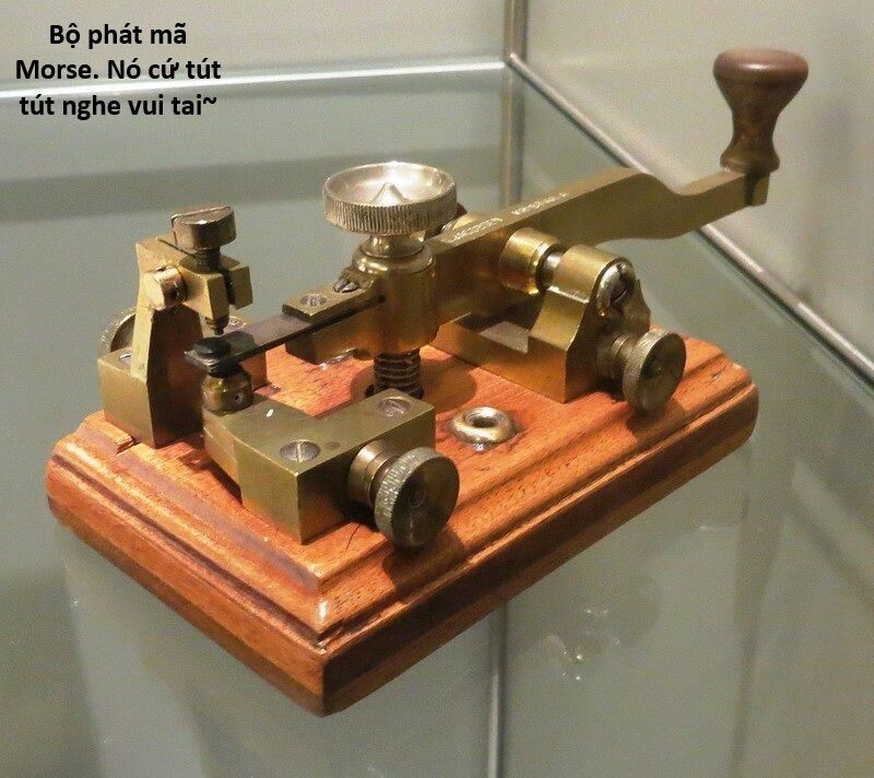 Hổ Đến Chơi Nhà (Puchimasu Miếu) Chap 138 - Next Chap 139