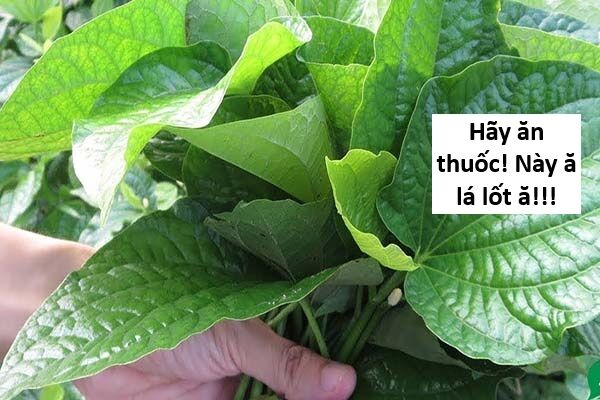 Hổ Đến Chơi Nhà (Puchimasu Miếu) Chap 139 - Next Chap 140