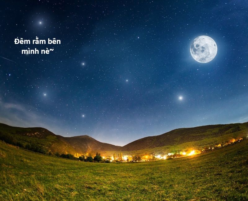 Hổ Đến Chơi Nhà (Puchimasu Miếu) Chap 140 - Next Chap 141