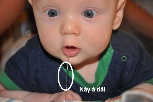 Hổ Đến Chơi Nhà (Puchimasu Miếu) Chap 140 - Next Chap 141