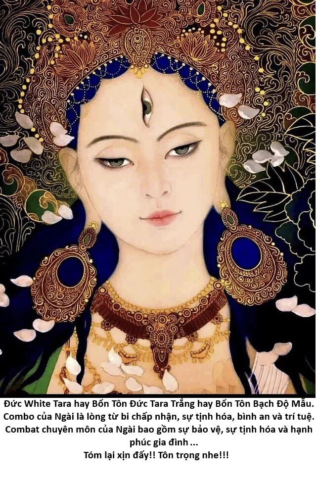 Hổ Đến Chơi Nhà (Puchimasu Miếu) Chap 142 - Next Chap 143