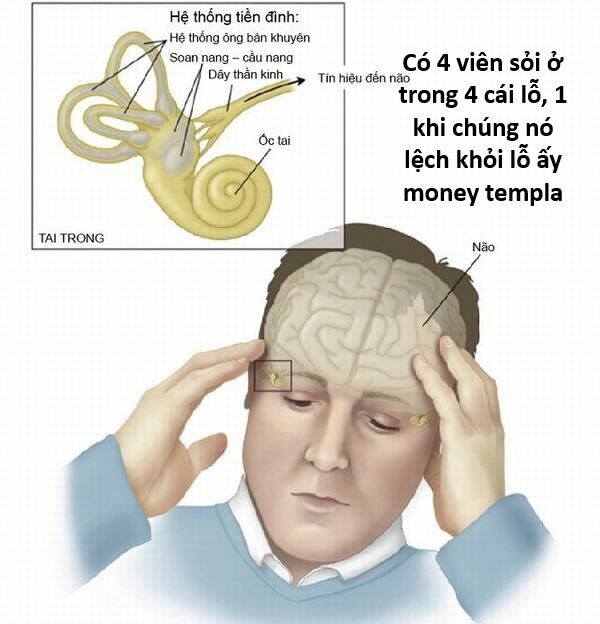 Hổ Đến Chơi Nhà (Puchimasu Miếu) Chap 144 - Next Chap 145