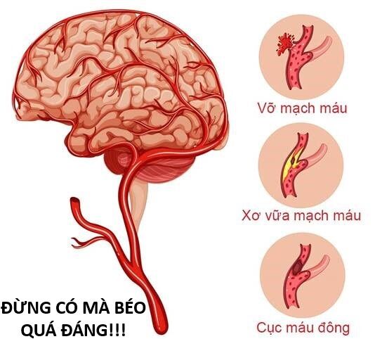 Hổ Đến Chơi Nhà (Puchimasu Miếu) Chap 144 - Next Chap 145