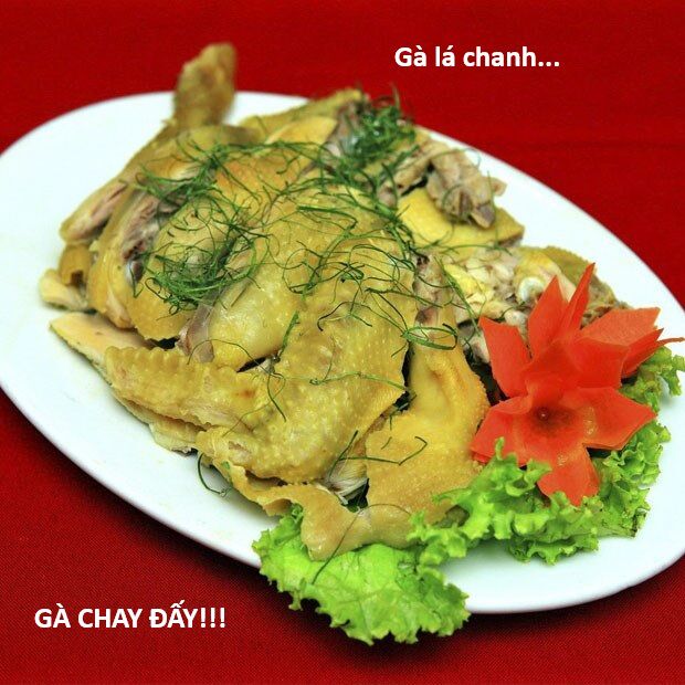 Hổ Đến Chơi Nhà (Puchimasu Miếu) Chap 145 - Next Chap 146