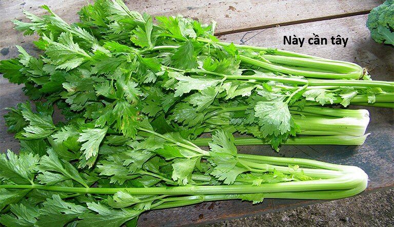 Hổ Đến Chơi Nhà (Puchimasu Miếu) Chap 145 - Next Chap 146