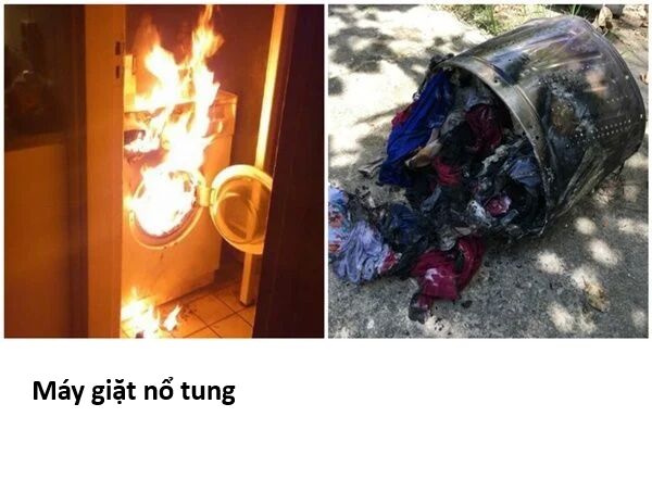 Hổ Đến Chơi Nhà (Puchimasu Miếu) Chap 145 - Next Chap 146