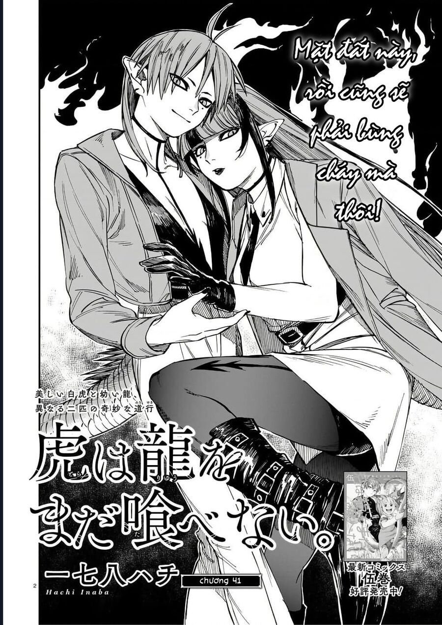 Hổ Vẫn Chưa Muốn Xơi Rồng Chap 41 - Next Chap 42