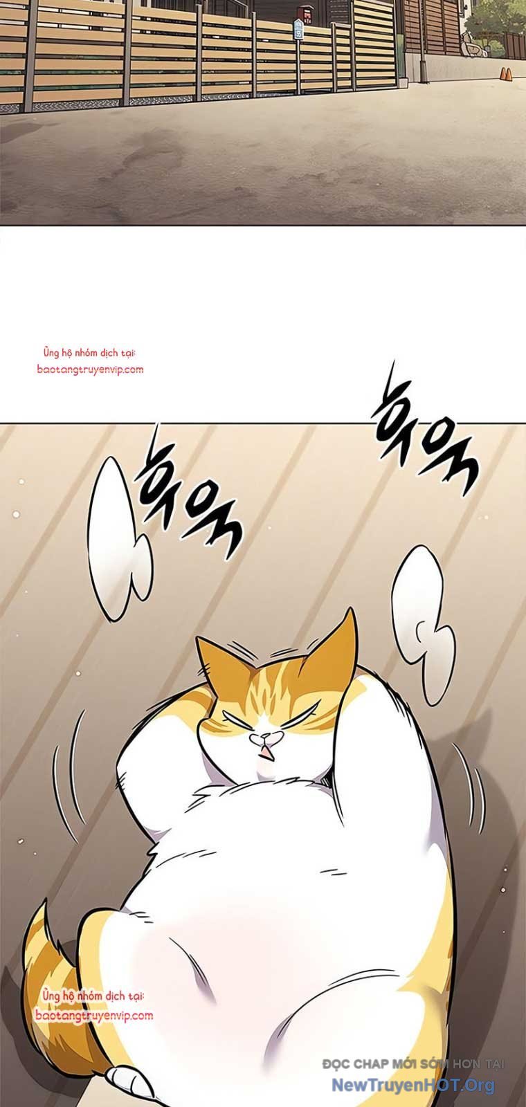 Hóa Thân Thành Mèo Chap 355 - Next Chap 356