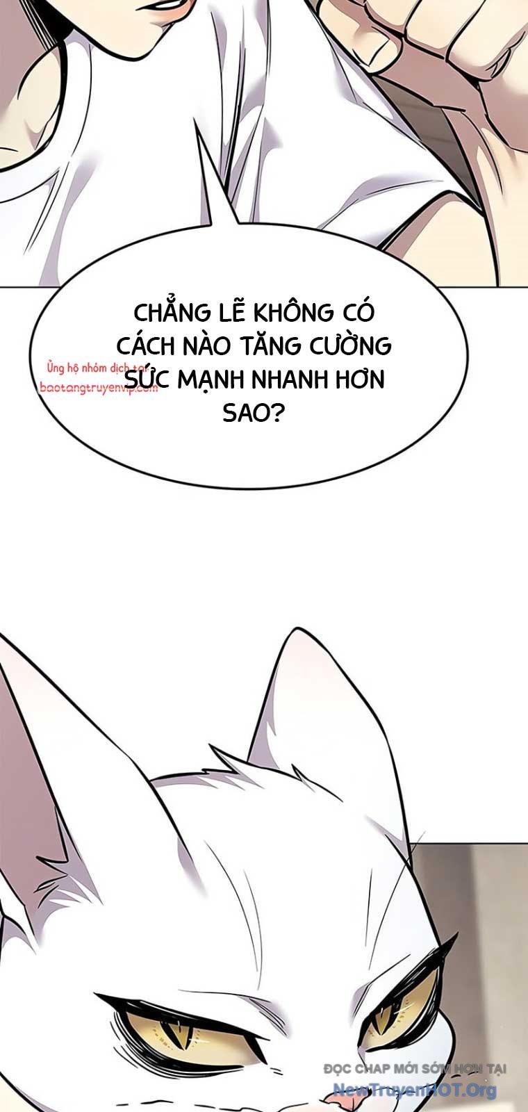Hóa Thân Thành Mèo Chap 355 - Next Chap 356