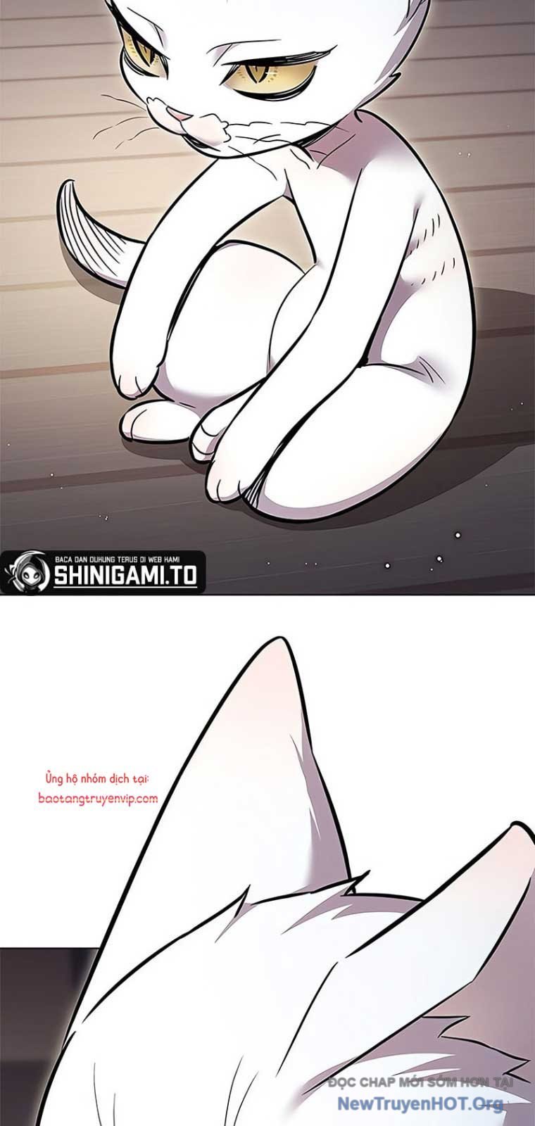 Hóa Thân Thành Mèo Chap 355 - Next Chap 356