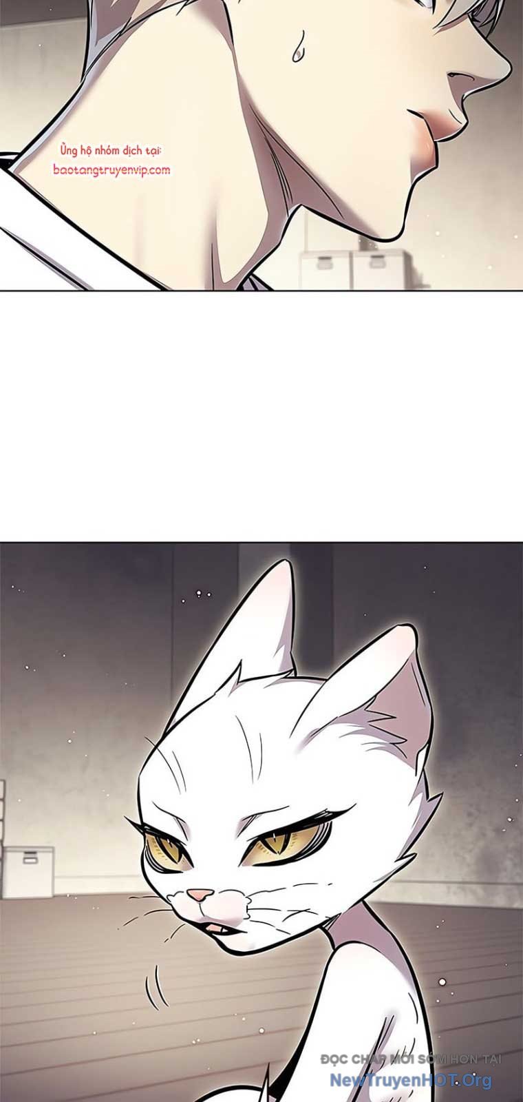 Hóa Thân Thành Mèo Chap 355 - Next Chap 356