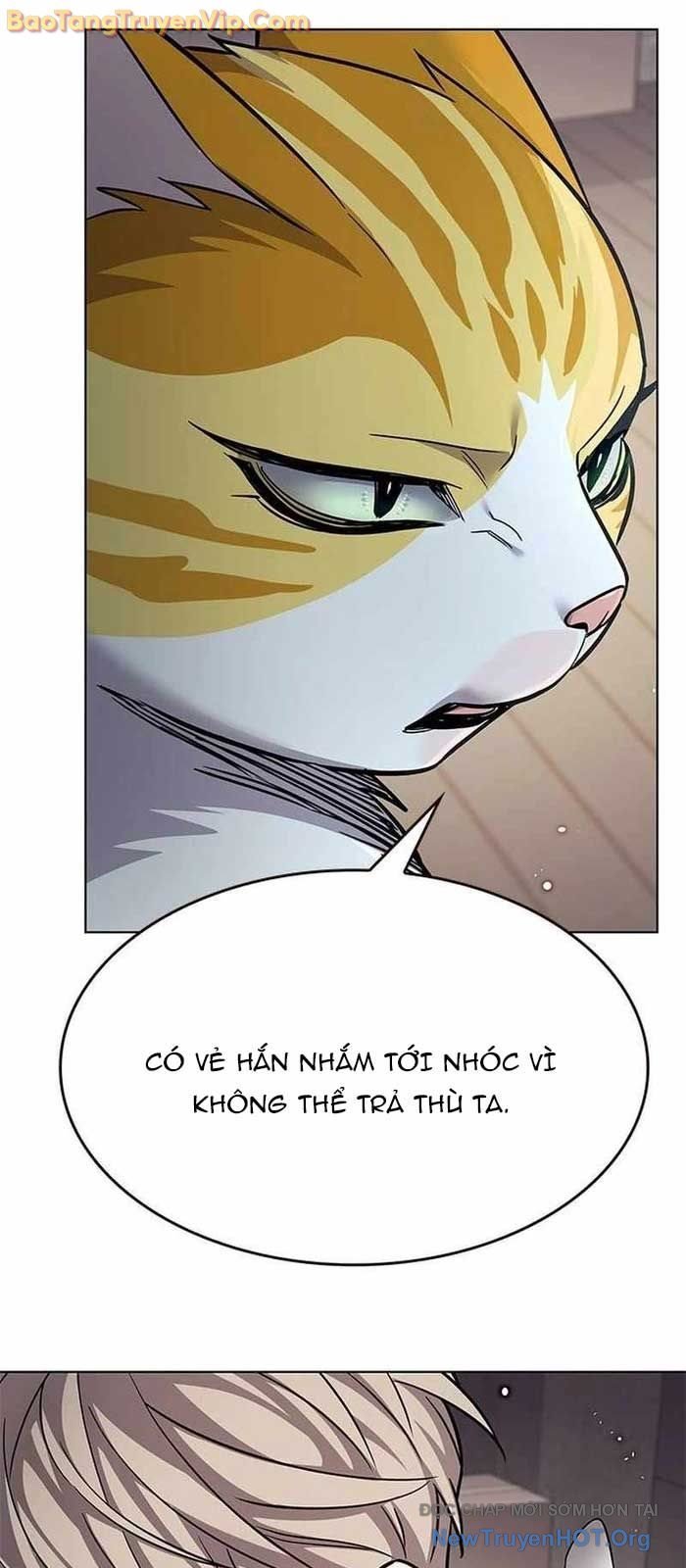 Hóa Thân Thành Mèo Chap 356 - Next Chap 357
