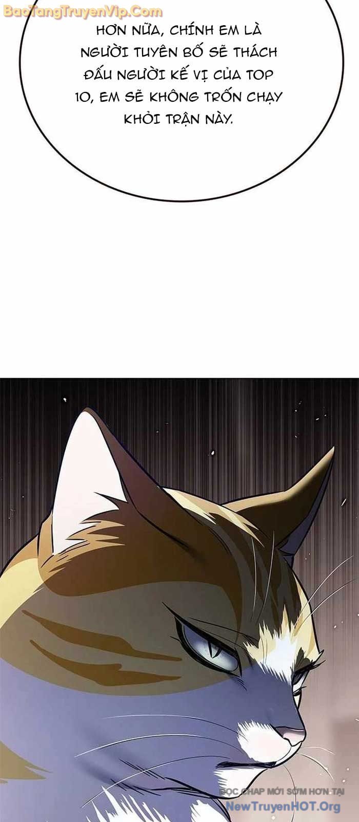 Hóa Thân Thành Mèo Chap 356 - Next Chap 357