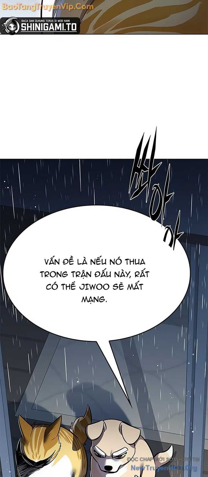 Hóa Thân Thành Mèo Chap 357 - Next Chap 358