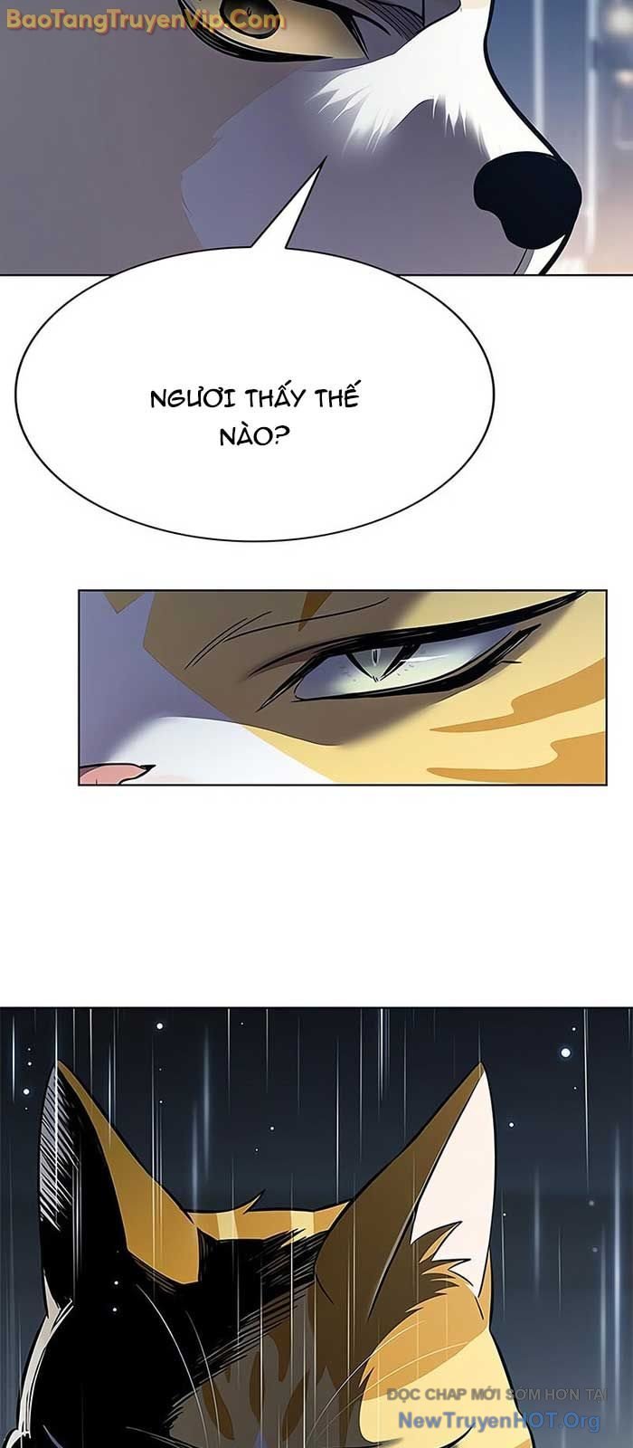 Hóa Thân Thành Mèo Chap 357 - Next Chap 358