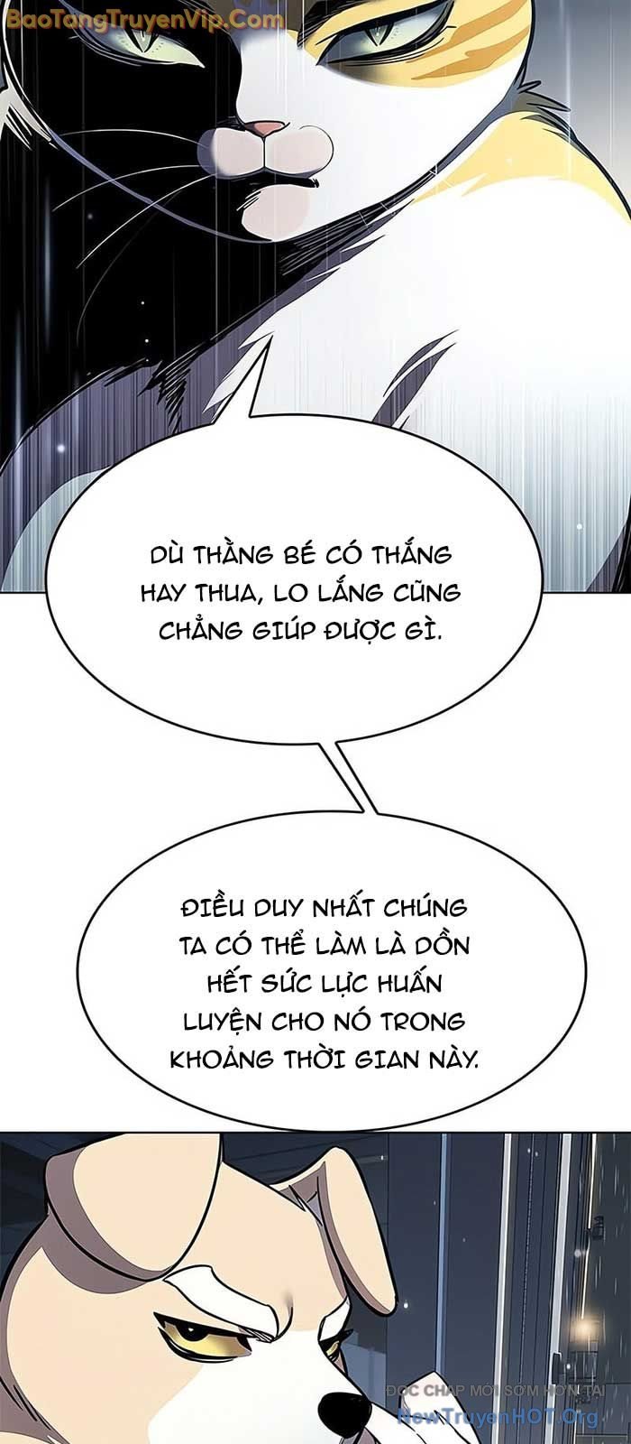 Hóa Thân Thành Mèo Chap 357 - Next Chap 358