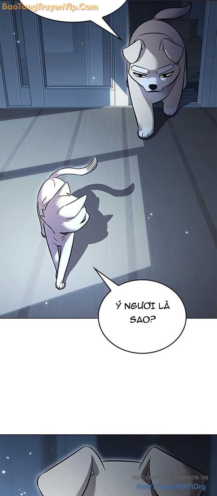 Hóa Thân Thành Mèo Chap 358 - Next Chap 359