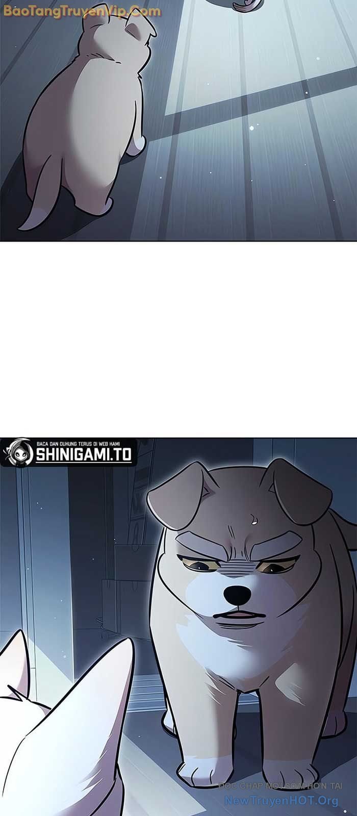 Hóa Thân Thành Mèo Chap 358 - Next Chap 359