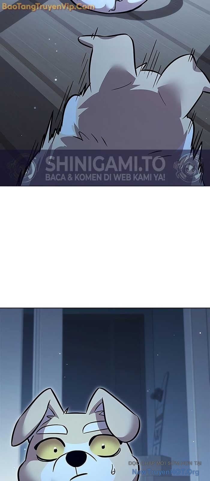 Hóa Thân Thành Mèo Chap 358 - Next Chap 359