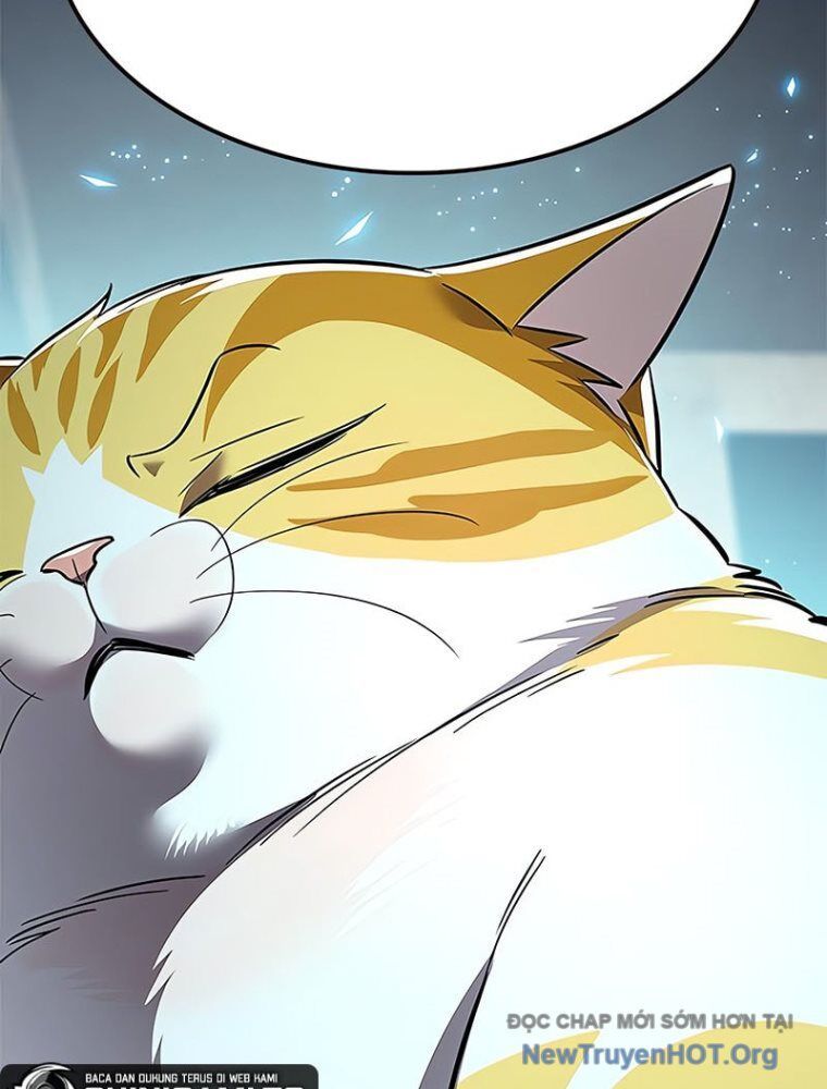 Hóa Thân Thành Mèo Chap 362 - Next Chap 363