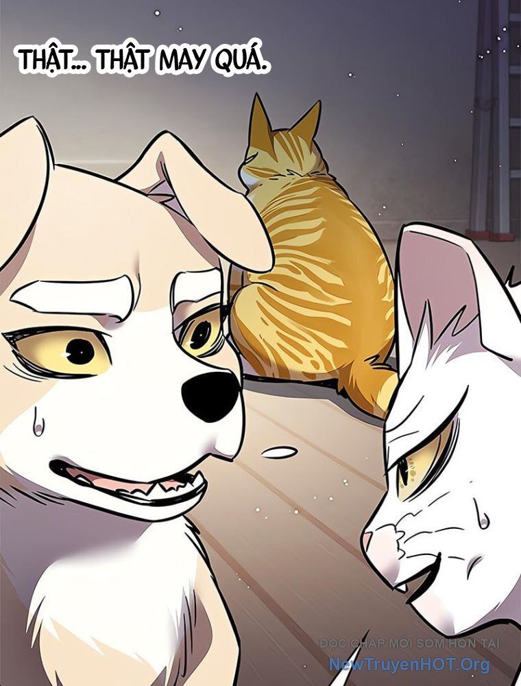 Hóa Thân Thành Mèo Chap 362 - Next Chap 363