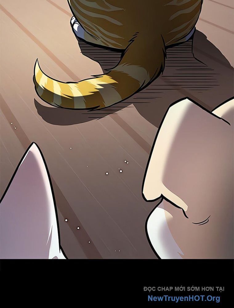 Hóa Thân Thành Mèo Chap 362 - Next Chap 363