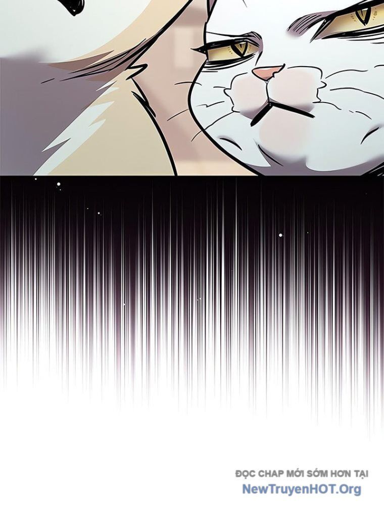 Hóa Thân Thành Mèo Chap 362 - Next Chap 363