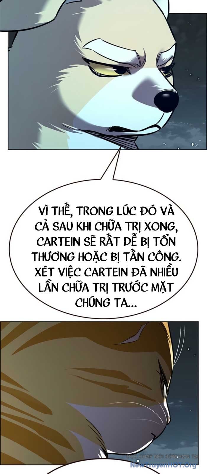 Hóa Thân Thành Mèo Chap 369 - Next Chap 370