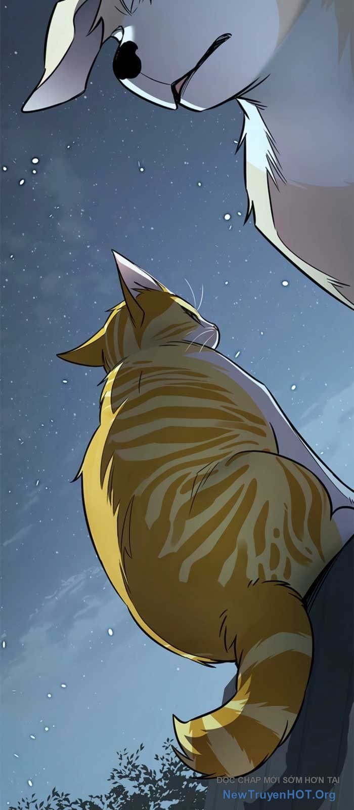 Hóa Thân Thành Mèo Chap 369 - Next Chap 370