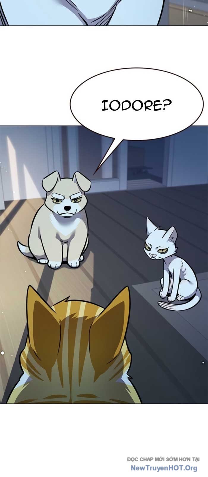 Hóa Thân Thành Mèo Chap 369 - Next Chap 370