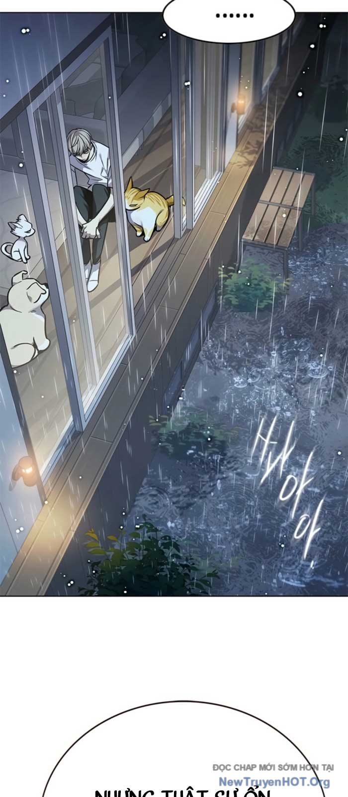 Hóa Thân Thành Mèo Chap 369 - Next Chap 370