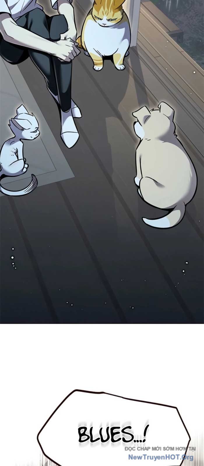 Hóa Thân Thành Mèo Chap 369 - Next Chap 370