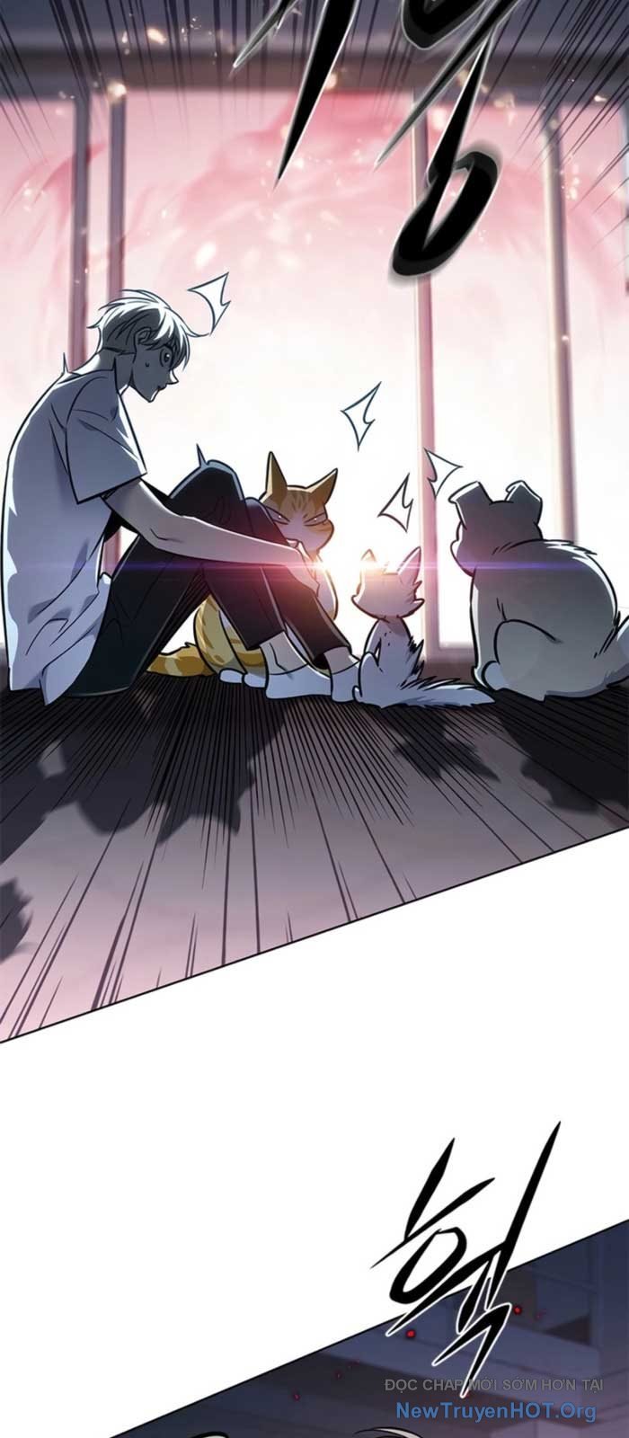 Hóa Thân Thành Mèo Chap 369 - Next Chap 370