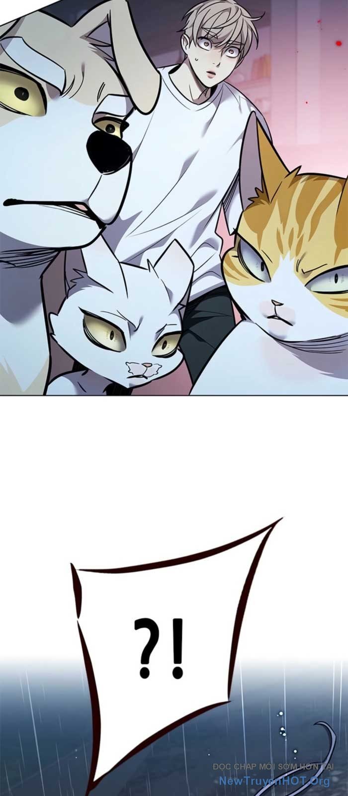 Hóa Thân Thành Mèo Chap 369 - Next Chap 370