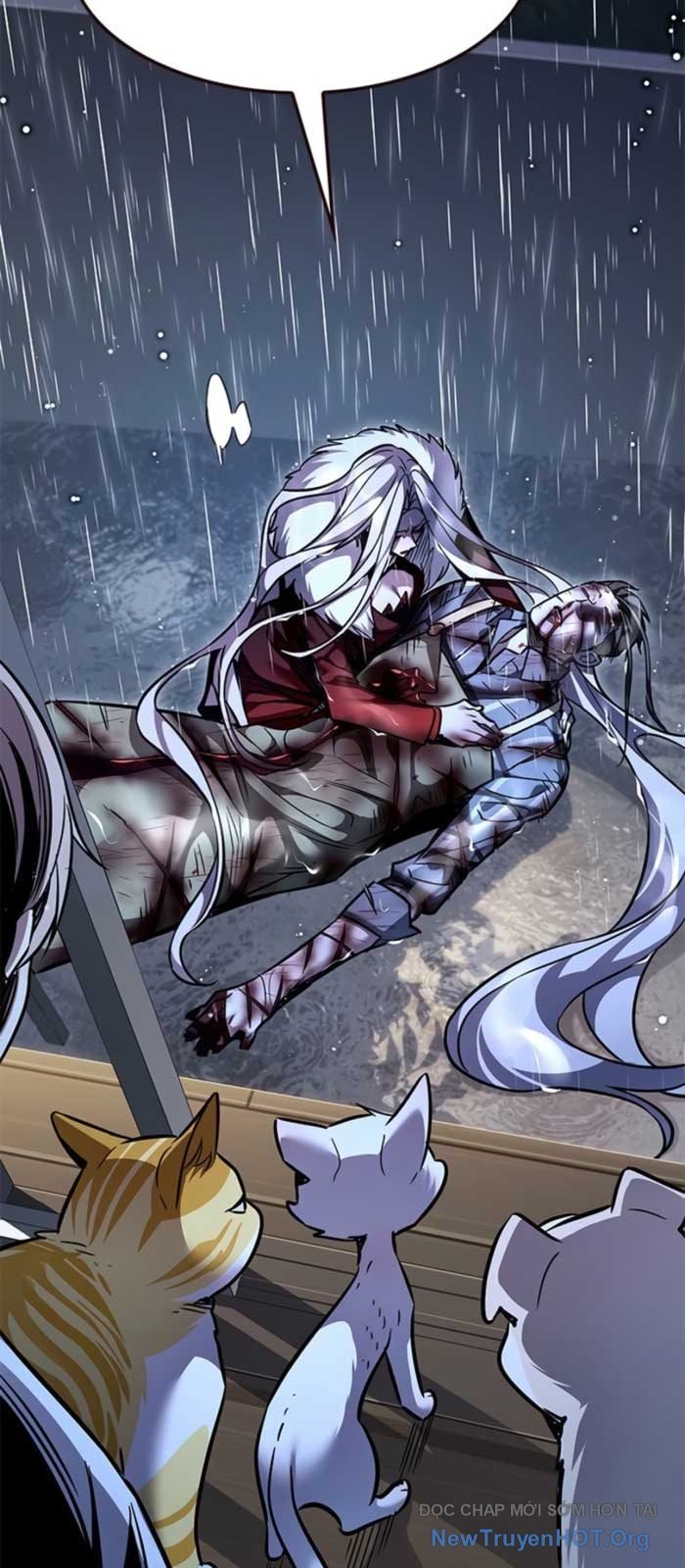 Hóa Thân Thành Mèo Chap 369 - Next Chap 370