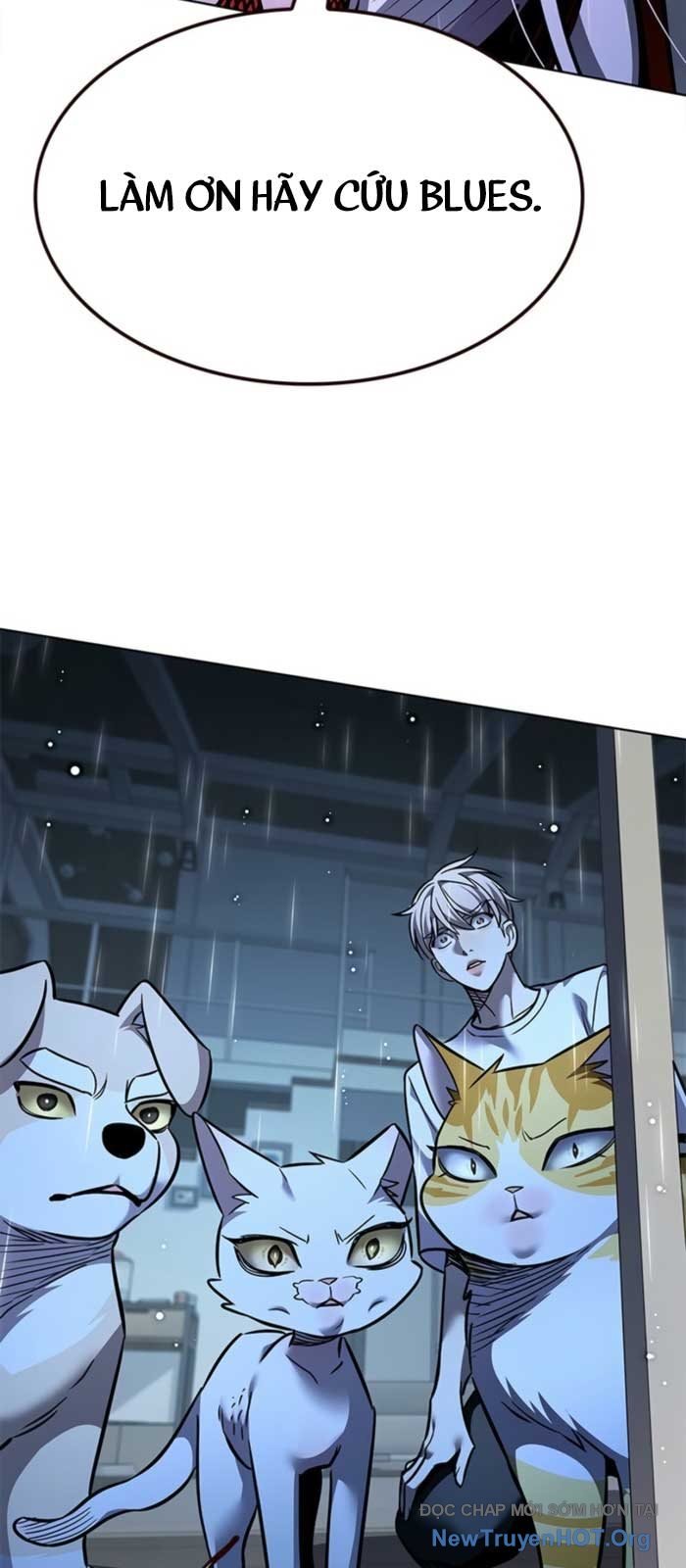 Hóa Thân Thành Mèo Chap 369 - Next Chap 370