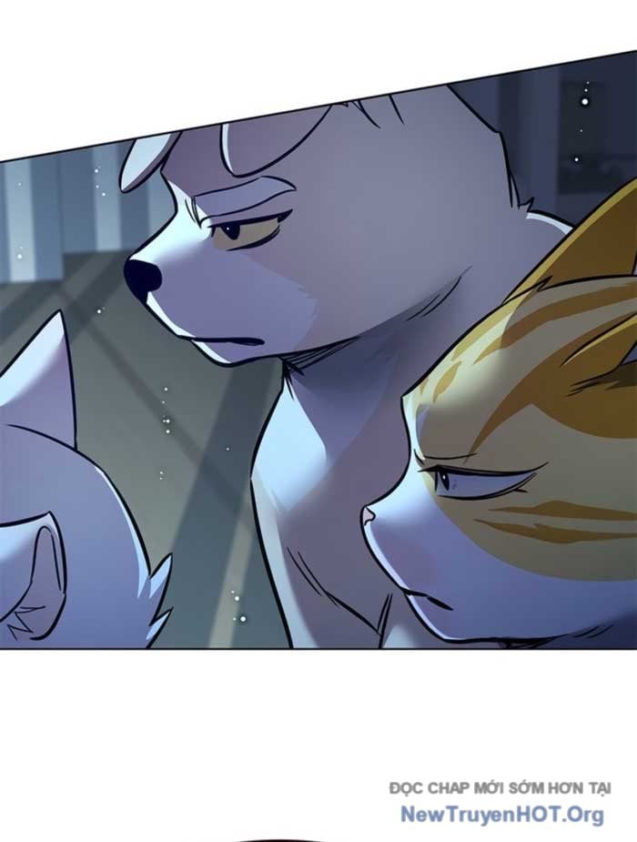 Hóa Thân Thành Mèo Chap 369 - Next Chap 370