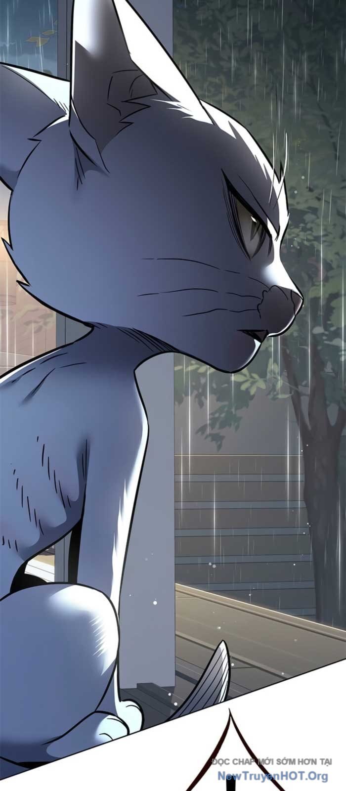 Hóa Thân Thành Mèo Chap 369 - Next Chap 370