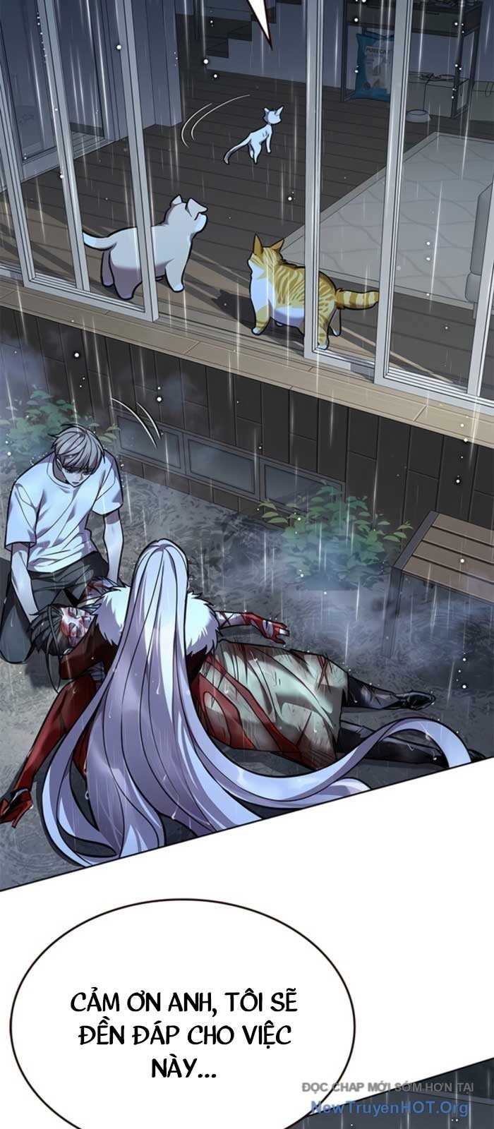 Hóa Thân Thành Mèo Chap 369 - Next Chap 370