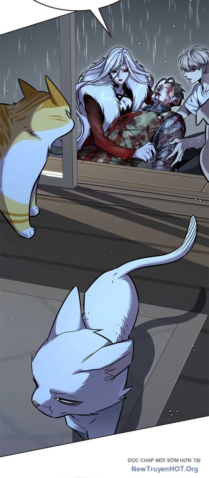 Hóa Thân Thành Mèo Chap 369 - Next Chap 370