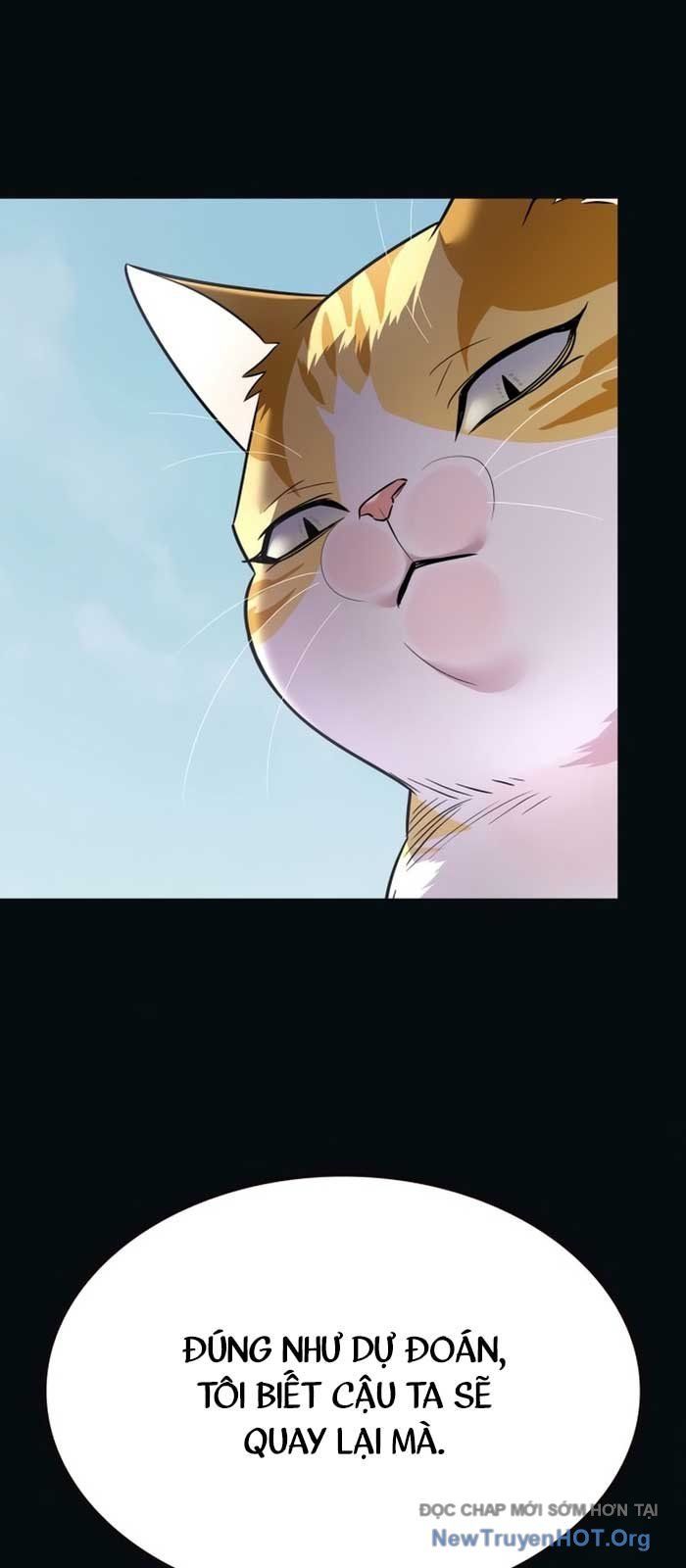 Hóa Thân Thành Mèo Chap 371 - Next Chap 372