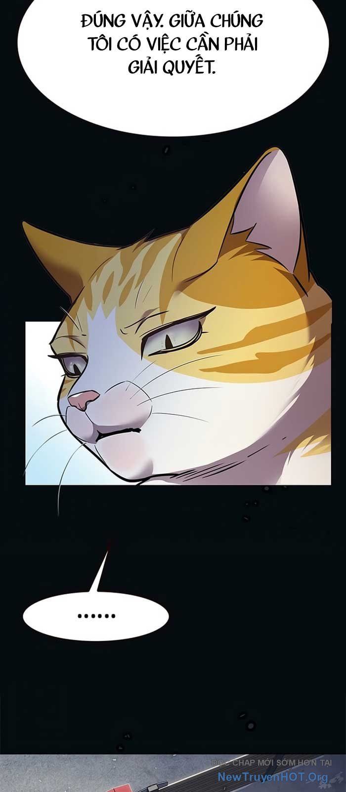 Hóa Thân Thành Mèo Chap 371 - Next Chap 372