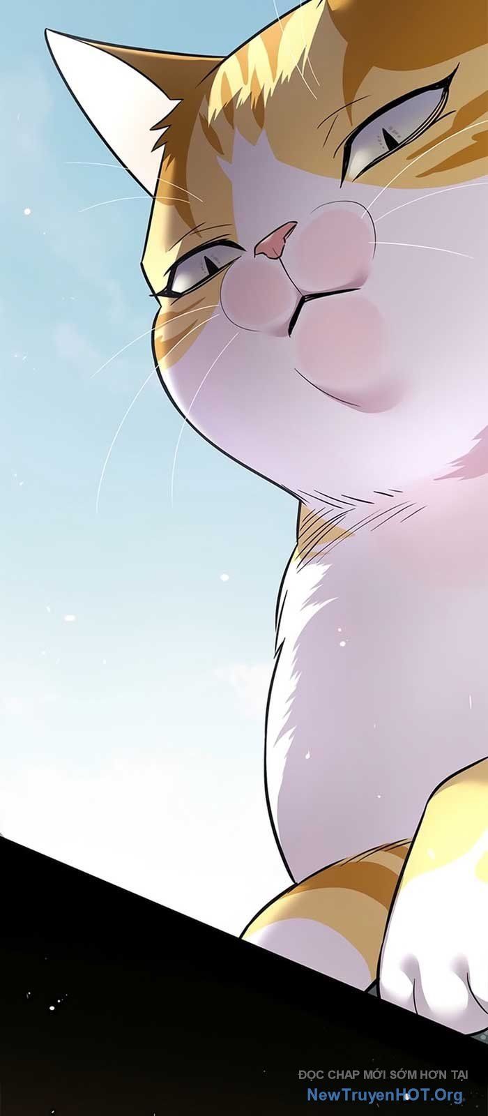 Hóa Thân Thành Mèo Chap 371 - Next Chap 372