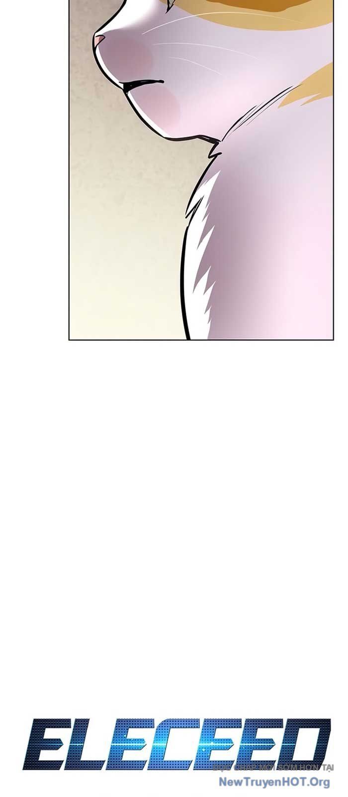 Hóa Thân Thành Mèo Chap 371 - Next Chap 372