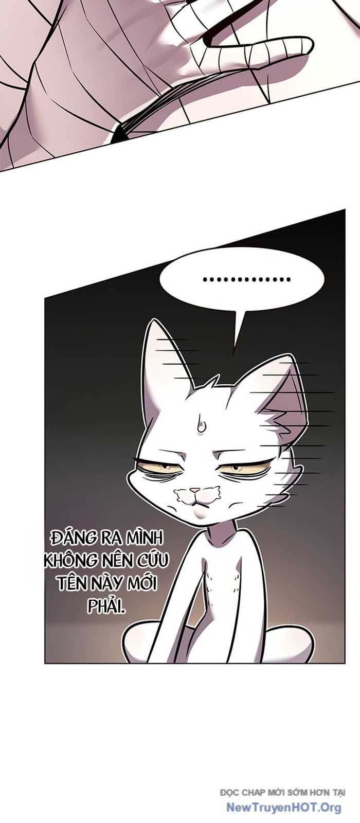 Hóa Thân Thành Mèo Chap 371 - Next Chap 372