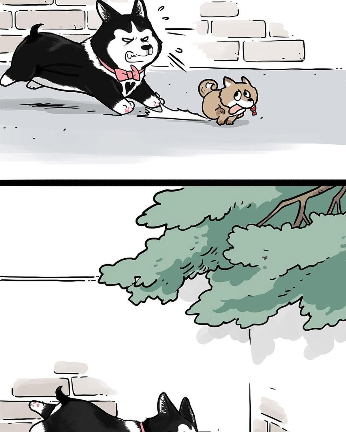 Hoàng Thượng và Ba Trát Hắc Chap 438 - Next Chap 439