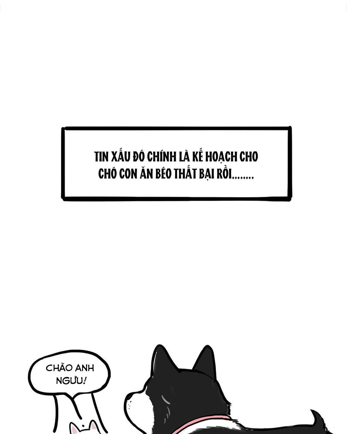 Hoàng Thượng và Ba Trát Hắc Chap 438 - Next Chap 439